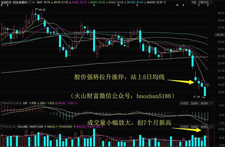 宝信软件日k线图 近20个交易日两市主力资金 净流入额变动图表