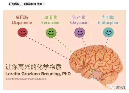 转载自积香苑  科学家认为肠道神经元产生的多巴胺,就跟"头顶大脑"