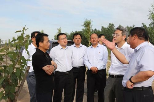 山东省工商银行党委书记行长付捷莅临单县调研指导省派第一书记工作并