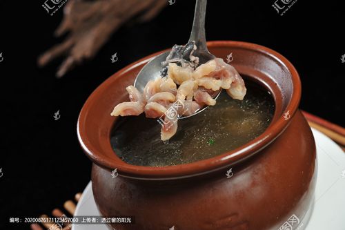 立即下载 关 键 词: 牛鞭  牛鞭花  鞭花  牛鞭汤  滋补汤  牛鞭炖鸡