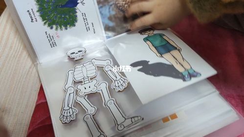 认识身体:复习the skeleton dance_骷髅_母婴_早教