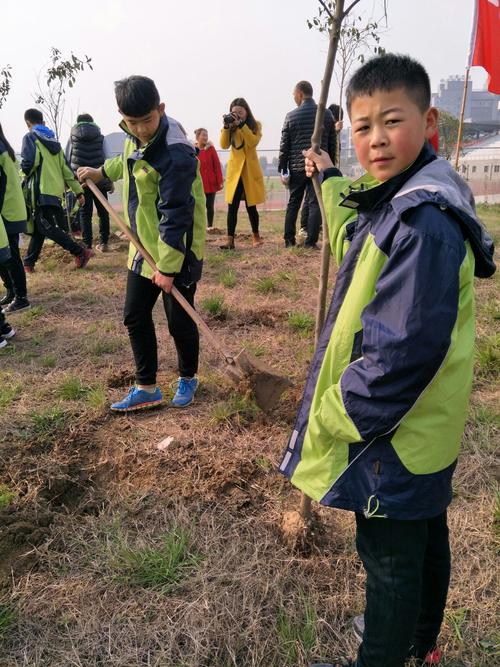 孩子学校的植树节 - 美篇