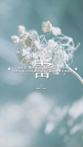 有没有关于"雷"姓氏的文字或图片