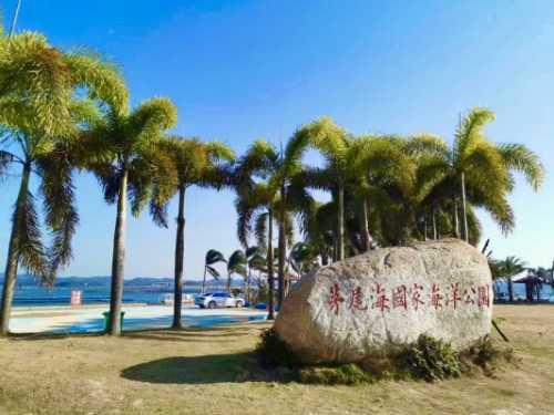 钦州海景房碧桂园红树湾发展趋势