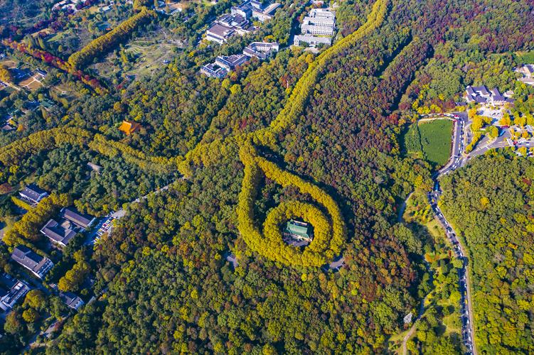 南京最美项链美龄宫是蒋宋爱情见证真实故事浪漫又动人
