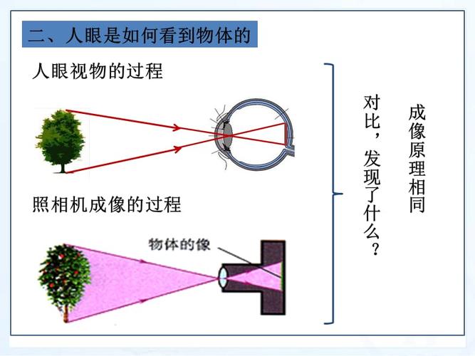 7《眼睛与光学仪器》课件2.ppt