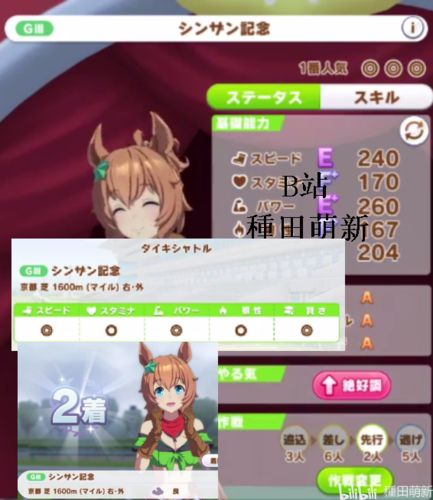 赛马娘大树快车萌新育成图解