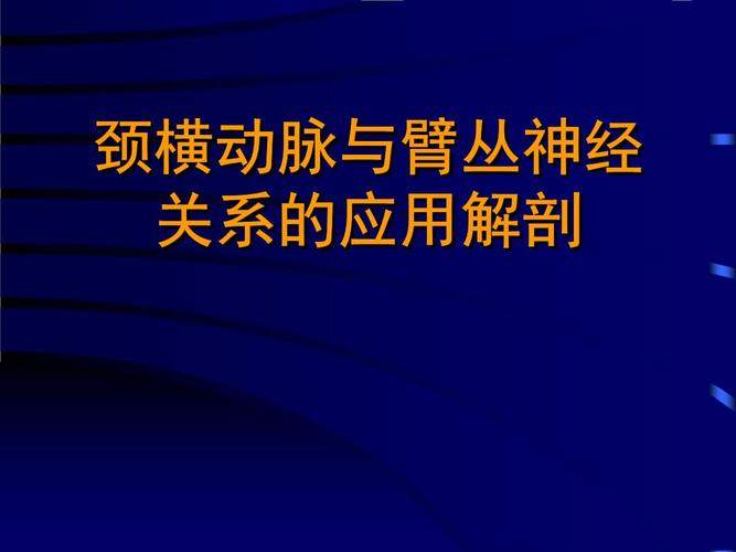 颈横动脉与臂丛神经关系的应用解剖.pptx 68页
