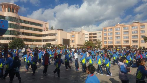 充满活力的楚雄开发区实验小学