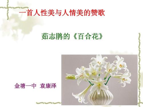 课件ppt 幻灯片式课件 一首人性美与人情美的赞歌 茹志鹃的《百合花》