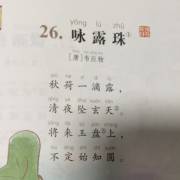 咏露珠(唐61韦应物)声音免费在线播放-喜马拉雅