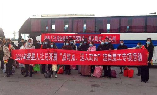 安徽泗县:"春风"送岗位 就业暖民心