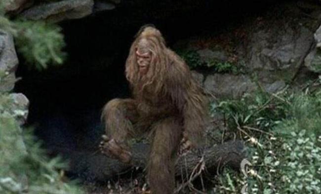 有人亲眼目睹野人的存在但科学家却说不存在到底应该相信谁