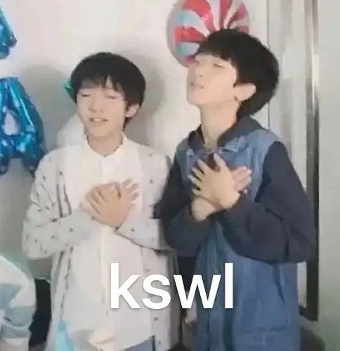分享手机里的宋亚轩刘耀文张真源严浩翔贺峻霖表情包