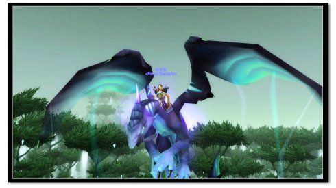 【wow截图】虚空龙也入手了