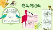 简约宣传爱鸟周手抄报