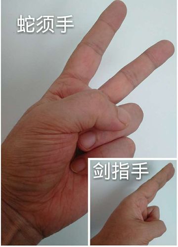 ﻿蛇须手,剑指手