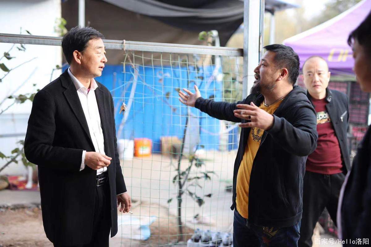 河南汝阳:红里村小产业迎来大丰收