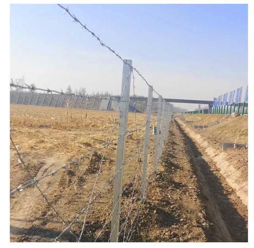 厂家现货不锈钢刺绳 防爬刺丝围栏 铁丝网防爬防盗刀片刺绳