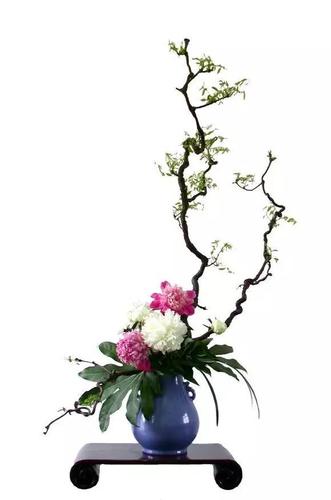 赏心胎教之艺术插花