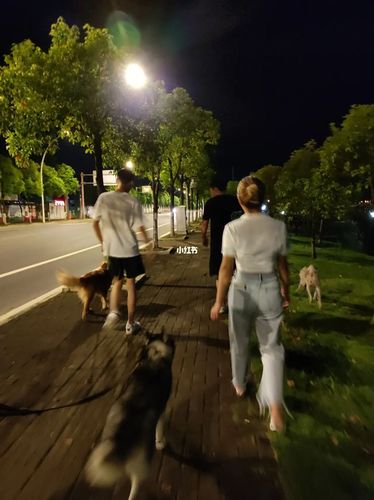 小米11青春版拍照92_摄影_小米11青春版_摄影_摄影