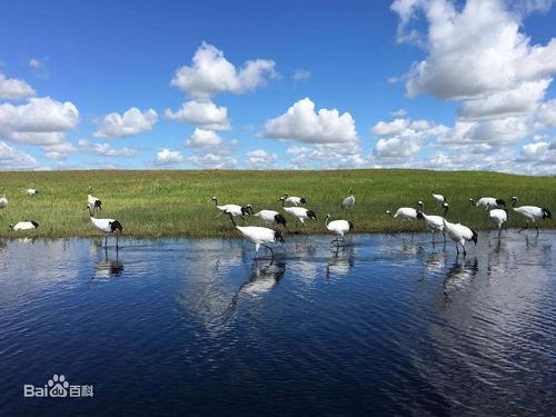 黑龙江 三江自然保护区