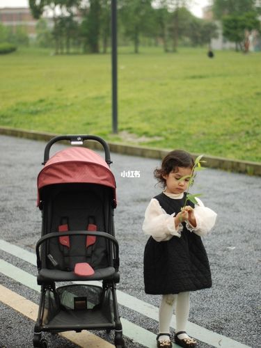 乖乖的好孩子,都喜欢好孩子婴儿车!_婴儿车_踏青_宝宝
