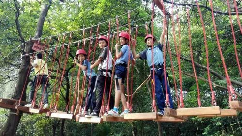 远离地面,石燕湖神庙大逃亡,飞跃丛林大冒险