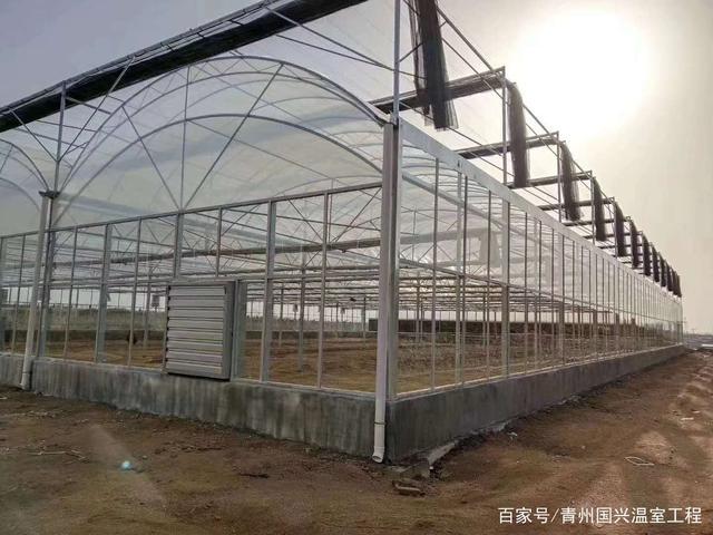 常见的几种温室大棚