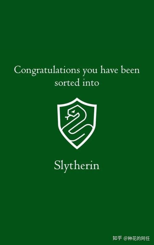 欢迎入学斯莱特林!