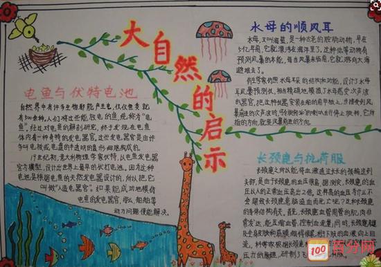 大自然手抄报图片优秀