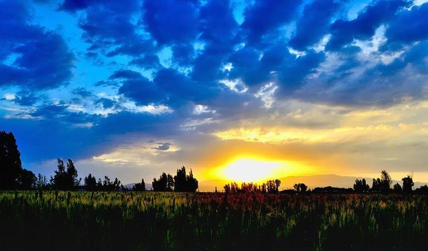 纯音乐丨晨光一现