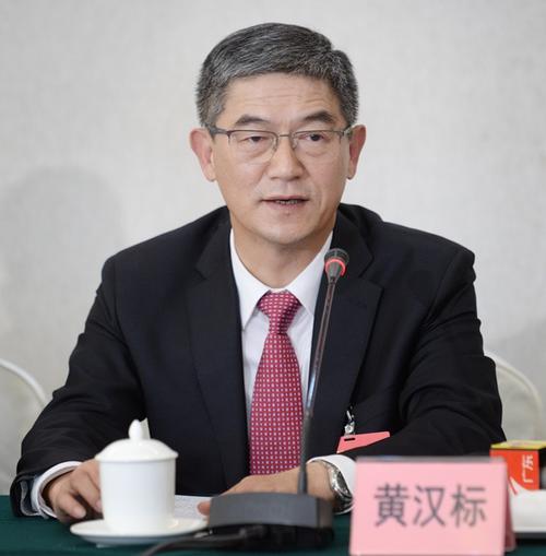 省人大代表,云浮市委书记黄汉标:以乡村振兴为重要抓手 加快破解城乡