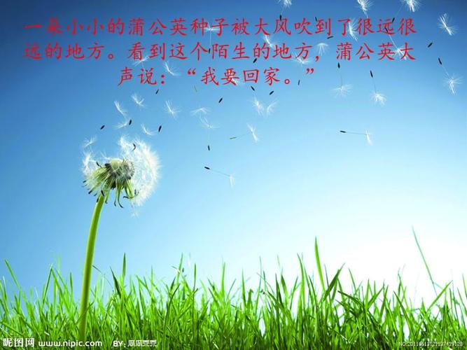 蒲公英旅行记.ppt