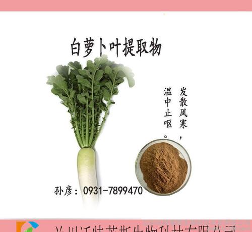 直销 白萝卜叶提取物 纯天然专业植提生产 现货包邮