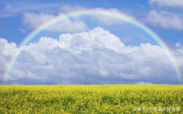 拥有自信,拥有阳光,愿你遇见更美的自己