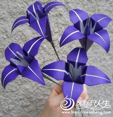 坏女人花折纸步骤 手工折纸大全-蒲城教育文学网