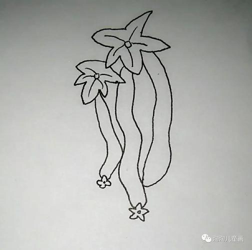 淘老师教你画:丝瓜