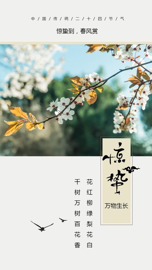 以灰色为主色调,适用于惊蛰节气当天朋友圈问候,早安问候,心情日签