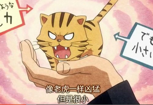 展开全部 龙与虎  貌似是第一集的样子