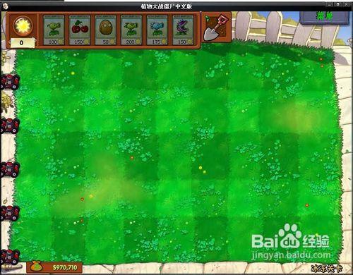 《植物大战僵尸》隐藏关卡简介