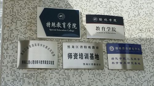 绥化市学院-特殊教育学院