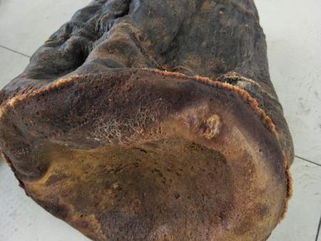 凌海市明亮肉灵芝销售有限公司