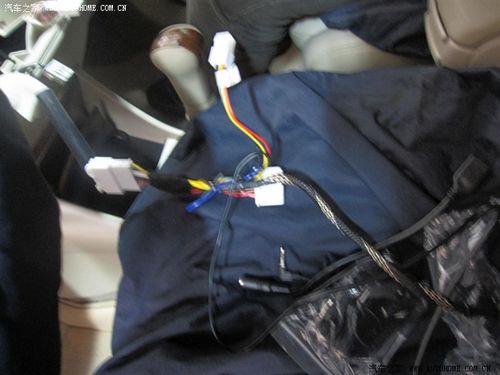  这个就是要切除的小jj