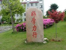 峰江中学|4|41
