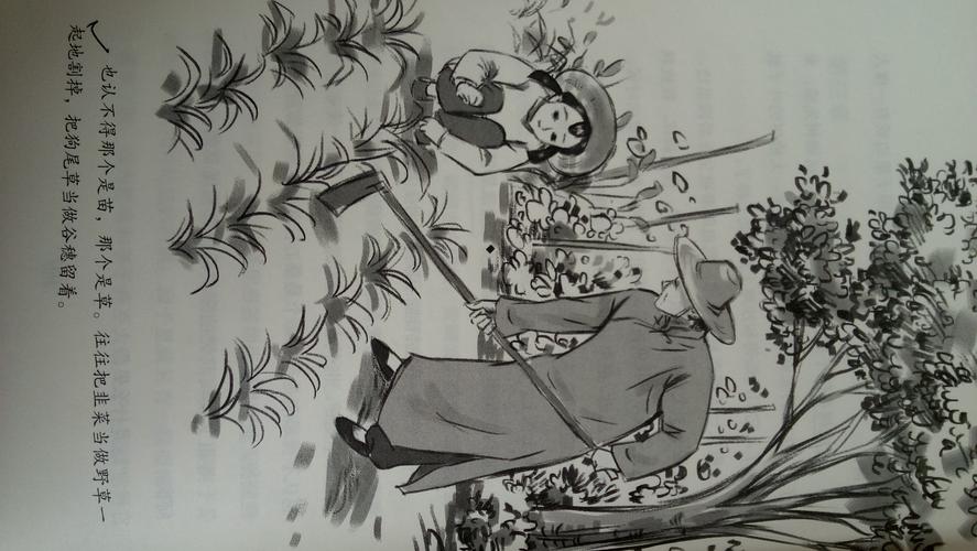 《呼兰河传》读后感 - 简书