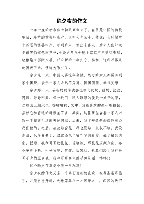 除夕夜的作文.doc 4页