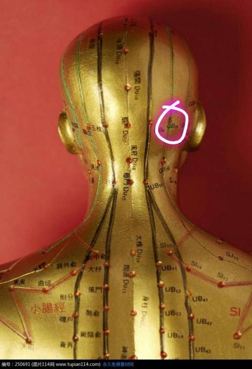 后脑勺中间有一个凸起的骨头但是我的后脑勺在这个凸起的骨头右边两指