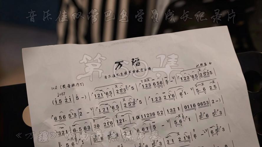 第69集万疆唱曲谱简谱节奏杨捌伍音乐佳双管巴乌纪录片