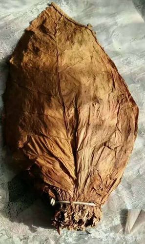 辉南镇旱烟知名度高,被誉为"中国黄烟之乡",黄烟种植历史已逾百年